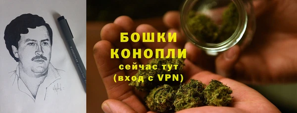 шишки Новокубанск