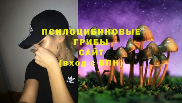 ALPHA PVP Нягань