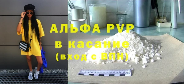шишки Новокубанск