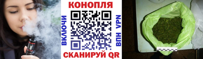 Каннабис сатива  купить наркоту  mega сайт  Краснообск 